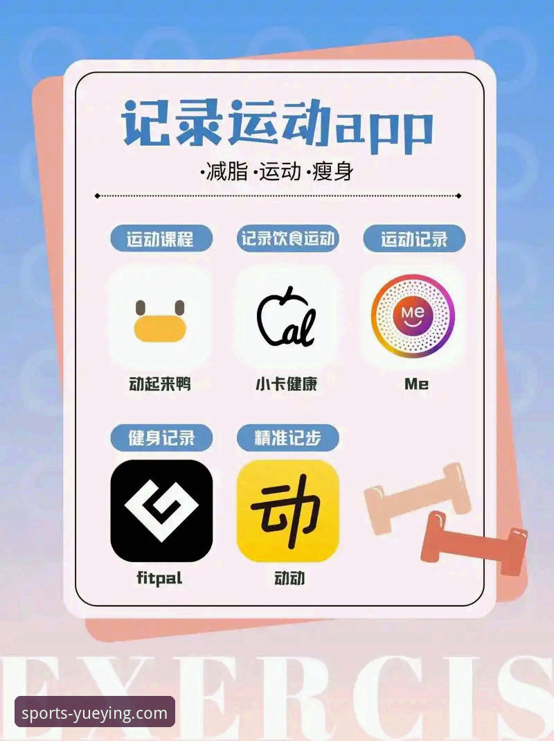 悦盈体育平台官方App全面评测：最新版本下载安装一站式指南